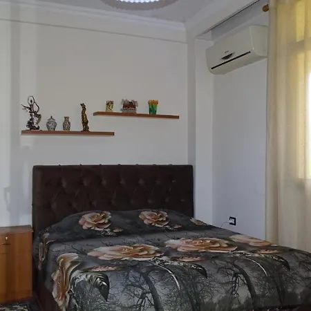 Shoshi Tirana