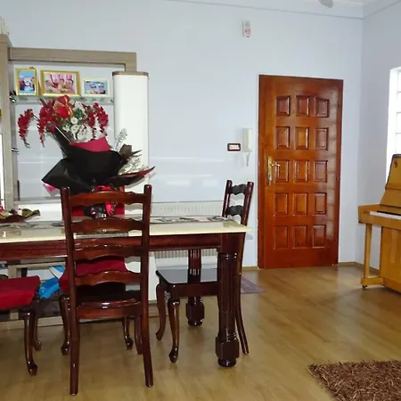 Appartement Shoshi *
